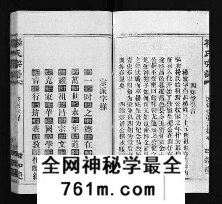 湖北杨氏族谱-杨氏宗谱[52卷,首6卷](别名：Yang Shi Zong Pu、杨氏宗谱).pdf电子版