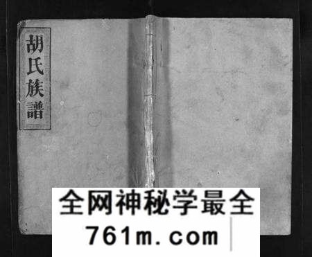 湖北胡氏族谱-胡氏族谱 [8卷,首5卷](别名：胡氏家乘、Hu Shi Zu Pu).pdf电子版