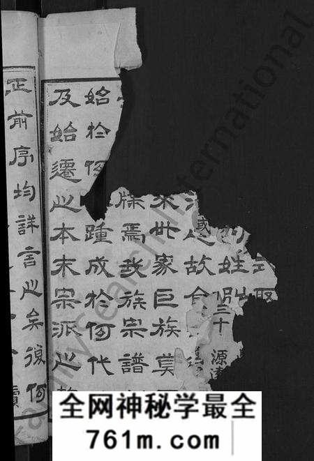 湖北王氏族谱-王氏宗谱 [各房分卷,首4卷].pdf电子版