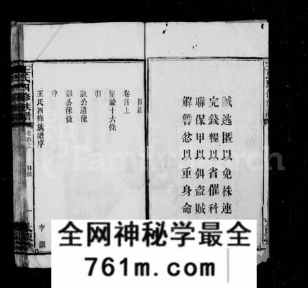 湖南王氏族谱-王氏族谱 [37卷,首3卷].pdf电子版