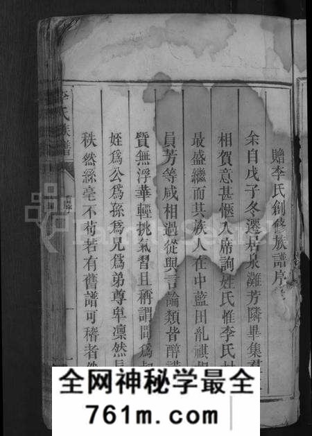 湖南李氏族谱-李氏族谱 [9卷,首末各1卷].pdf电子版