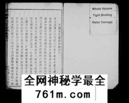 浙江王氏族谱-月湖王氏宗谱[13卷].pdf电子版