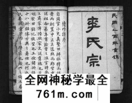 湖北李氏族谱-李氏宗谱 [8卷,首2卷,末1卷](别名：Li Shi Zong Pu).pdf电子版
