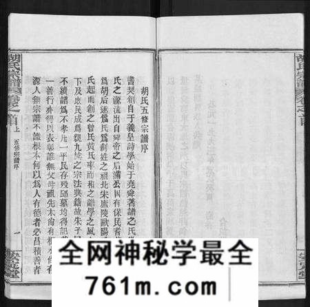 湖北胡氏族谱-胡氏宗谱 [9卷,首4卷].pdf电子版