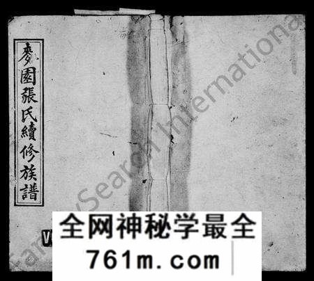 湖南张氏族谱-麦园张氏续修族谱 [11卷,首3卷].pdf电子版