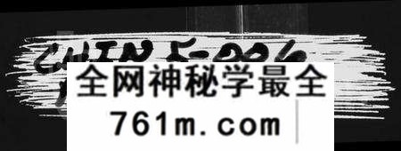 浙江陈氏族谱-义门陈氏宗谱.pdf电子版
