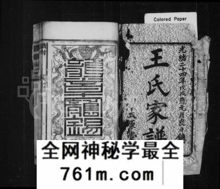 湖南王氏族谱-王氏家谱 [不分卷].pdf电子版