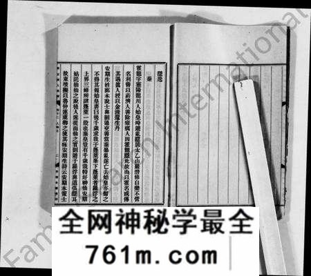 中国未知族谱-家谱与宗法(别名:东方杂志).pdf电子版
