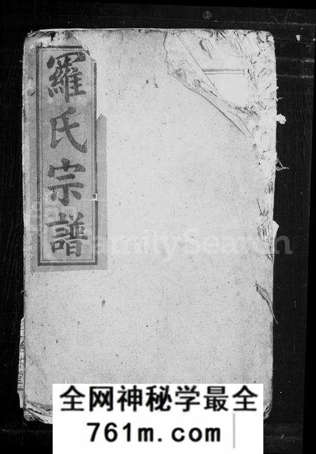 湖北罗氏族谱-罗氏宗谱(罗氏族修宗谱).pdf电子版