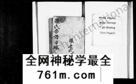 四川罗氏族谱-罗氏家谱(别名:罗氏宗谱、金盘罗氏宗谱).pdf电子版