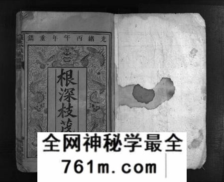湖南未知族谱-罗氏族谱 [12卷].pdf电子版