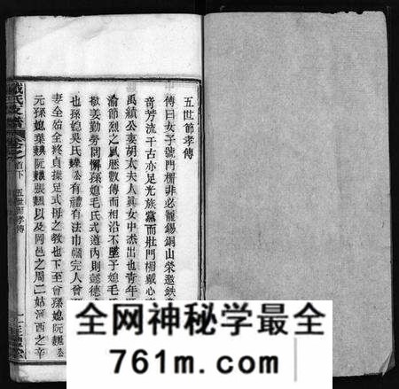 湖北戴氏族谱-戴氏支谱 [9卷,首2卷](别名：Dai Shi Zhi Pu).pdf电子版