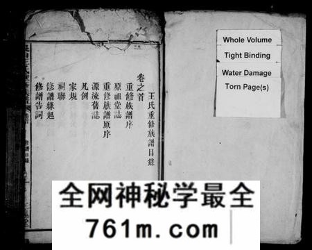 江西王氏族谱-银山王氏重修族谱.pdf电子版