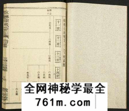 湖北严氏族谱-义水严氏宗谱.pdf电子版