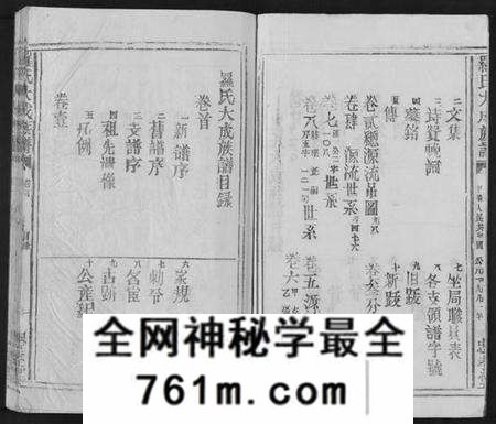 江西罗氏族谱-罗氏大成族谱[8卷首1卷].pdf电子版