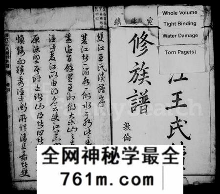 湖南王氏族谱-双江王氏续修族谱 [21卷,首1卷].pdf电子版