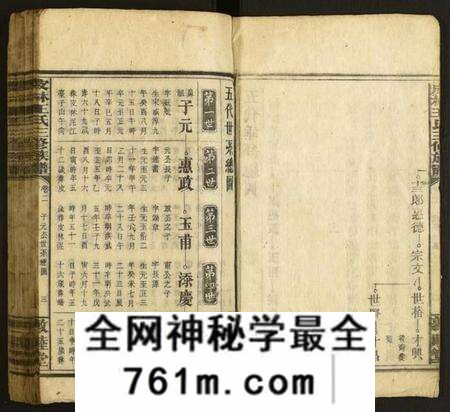 湖南王氏族谱-皮林王氏三修族谱.pdf电子版