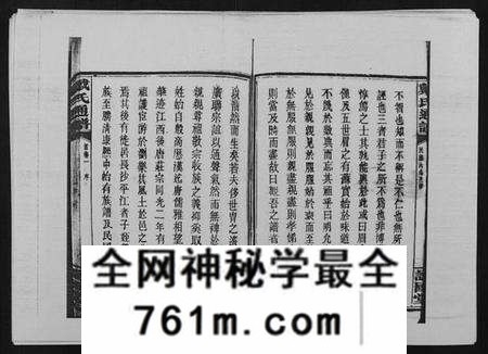 湖南戴氏族谱-戴氏通谱世系 [世系12卷,世编78卷,首4卷].pdf电子版