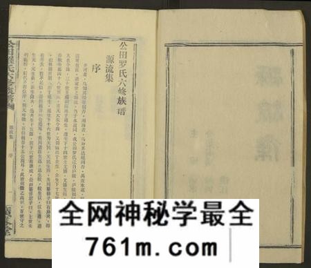 湖南罗氏族谱-公田罗氏族谱[各集分卷].pdf电子版