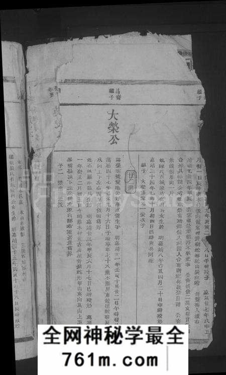 江西李氏族谱-东龙李氏九修族谱 [残卷].pdf电子版