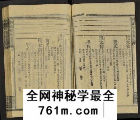 湖南李氏族谱-李氏五修族谱 [29卷,首末各1卷].pdf电子版
