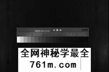 湖北金氏族谱-金氏宗谱 [15卷,首3卷](别名：Jin Shi Zong Pu).pdf电子版