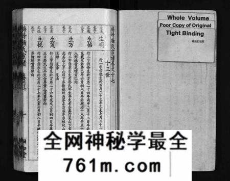 湖北杨氏族谱-梅峰杨氏宗谱(别名：Mei Feng Yang Shi Zong Pu、杨氏宗谱、杨氏八修宗谱).pdf电子版