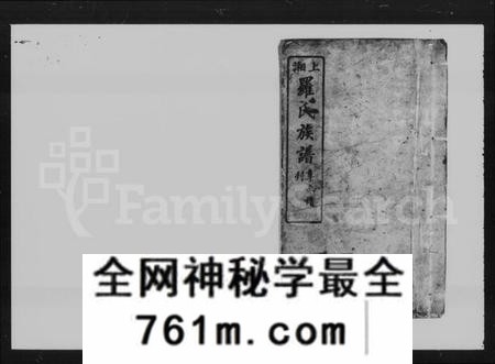 湖南罗氏族谱-上湘罗氏族谱 [42卷,首7卷,末1卷].pdf电子版