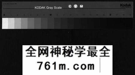 湖北罗氏族谱-罗氏续修宗谱 [42卷,首6卷](别名：湖北黄冈县钓鱼台罗氏第二次续修宗谱、Luo Shi Xu Xiu Zong Pu、罗氏续修宗谱、罗氏宗谱).pdf电子版