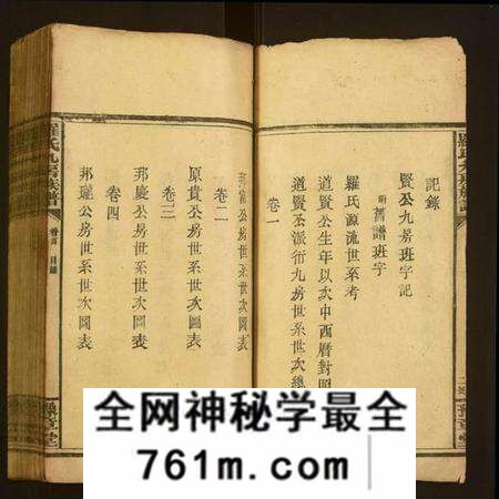 湖南罗氏族谱-罗氏九房族谱.pdf电子版