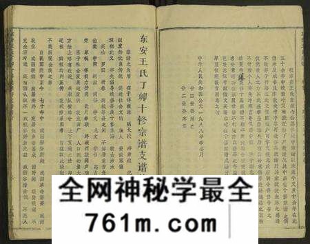 湖北罗氏族谱-东安王氏宗谱 [1册](别名：东安王氏丁卯十修宗谱).pdf电子版