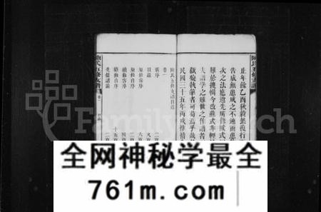 湖南陈氏族谱-陈氏支谱 [20卷,含卷末1卷].pdf电子版
