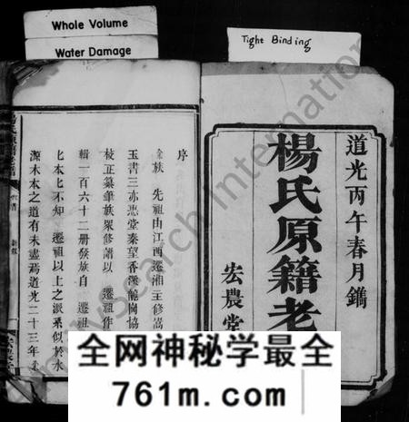湖南杨氏族谱-杨氏原籍老谱 [卷数杂异].pdf电子版