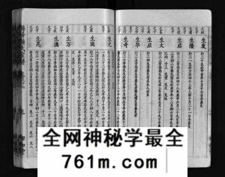 湖北杨氏族谱-梅峰杨氏宗谱(别名：Mei Feng Yang Shi Zong Pu、杨氏宗谱、杨氏八修宗谱).pdf电子版