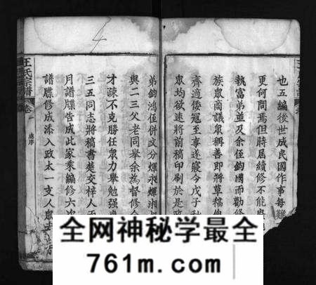 湖北未知族谱-王氏宗谱 [16卷](别名：Wang Shi Zong Pu、王氏宗谱).pdf电子版