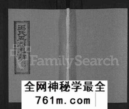 湖南王氏族谱-王氏五修通谱 [不分卷,首4卷].pdf电子版