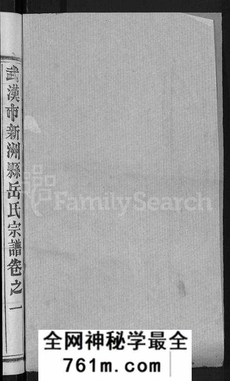湖北岳氏族谱-岳氏宗谱 [3卷,首1卷](别名：武汉市新洲县岳氏宗谱).pdf电子版