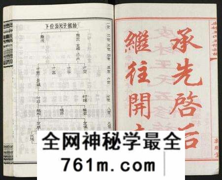 湖南王氏族谱-皮林王氏五修族谱 [26卷].pdf电子版
