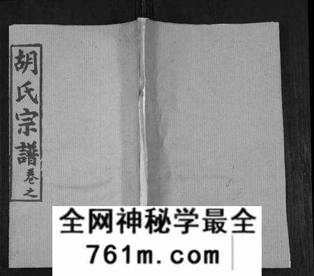 湖北胡氏族谱-胡氏宗谱[21卷首2卷].pdf电子版