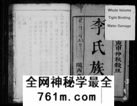 湖南李氏族谱-沩宁东城李氏续谱 [卷数杂异].pdf电子版