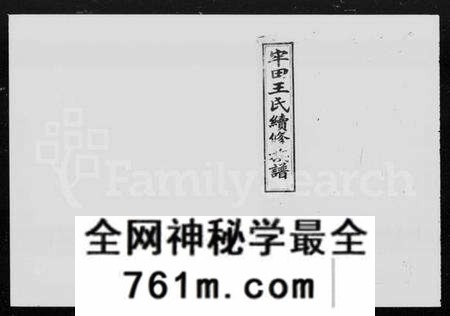 湖南王氏族谱-牢田王氏续修族谱 [39卷,首末各1卷].pdf电子版