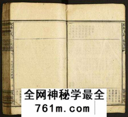 湖南王氏族谱-皮林王氏三修族谱.pdf电子版