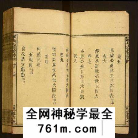湖南罗氏族谱-罗氏九房族谱.pdf电子版