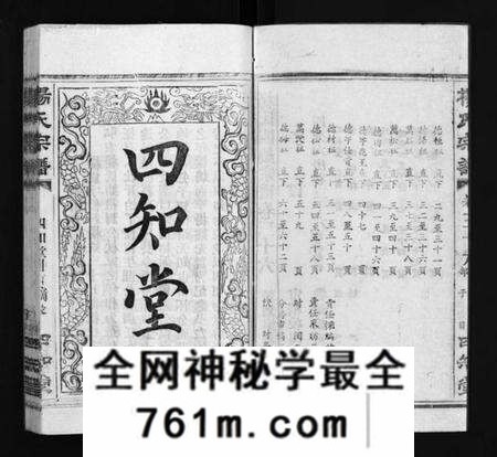 湖北杨氏族谱-杨氏宗谱[52卷,首6卷](别名：Yang Shi Zong Pu、杨氏宗谱).pdf电子版