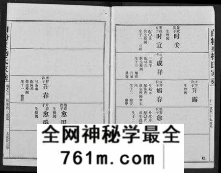湖北杨氏族谱-白粉壁杨氏宗谱.pdf电子版