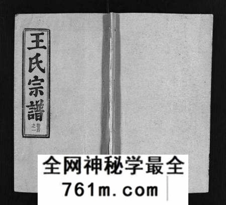 湖北王氏族谱-王氏宗谱 [按支分卷,首4卷](别名：Wang Shi Zong Pu).pdf电子版