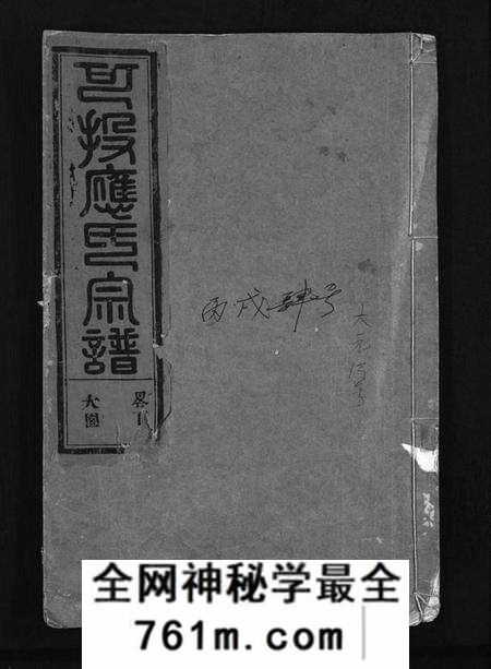 浙江应氏族谱-可投应氏宗谱 [残卷].pdf电子版
