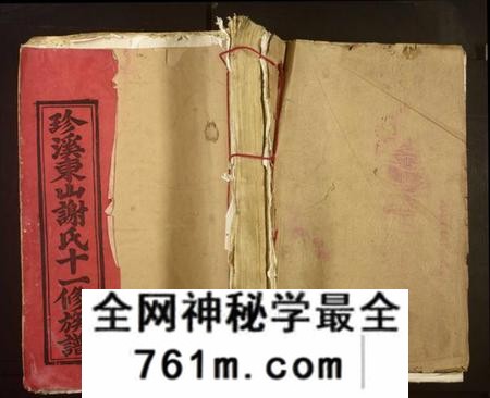 江西谢氏族谱-珍溪东山谢氏十一修族谱[不分卷].pdf电子版