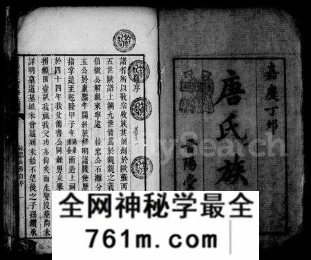湖南唐氏族谱-晋阳唐氏重修族谱 [38卷].pdf电子版