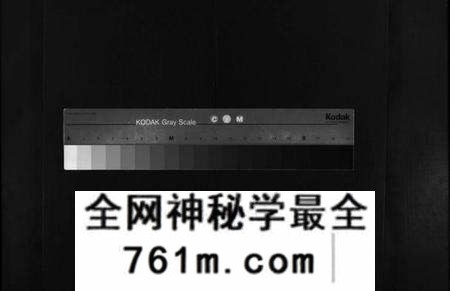 湖北杨氏族谱-杨氏家志 [按房分卷,首1卷](别名：Yang Shi Jia Zhi、杨氏家志).pdf电子版